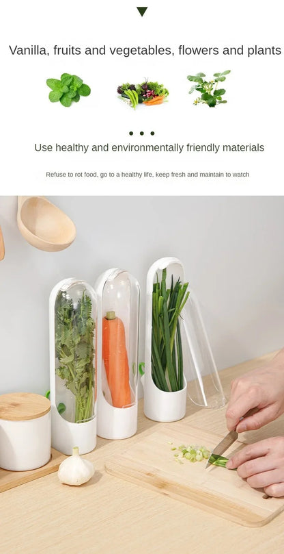 Fresh Vegetables Keeper for Refrigerator