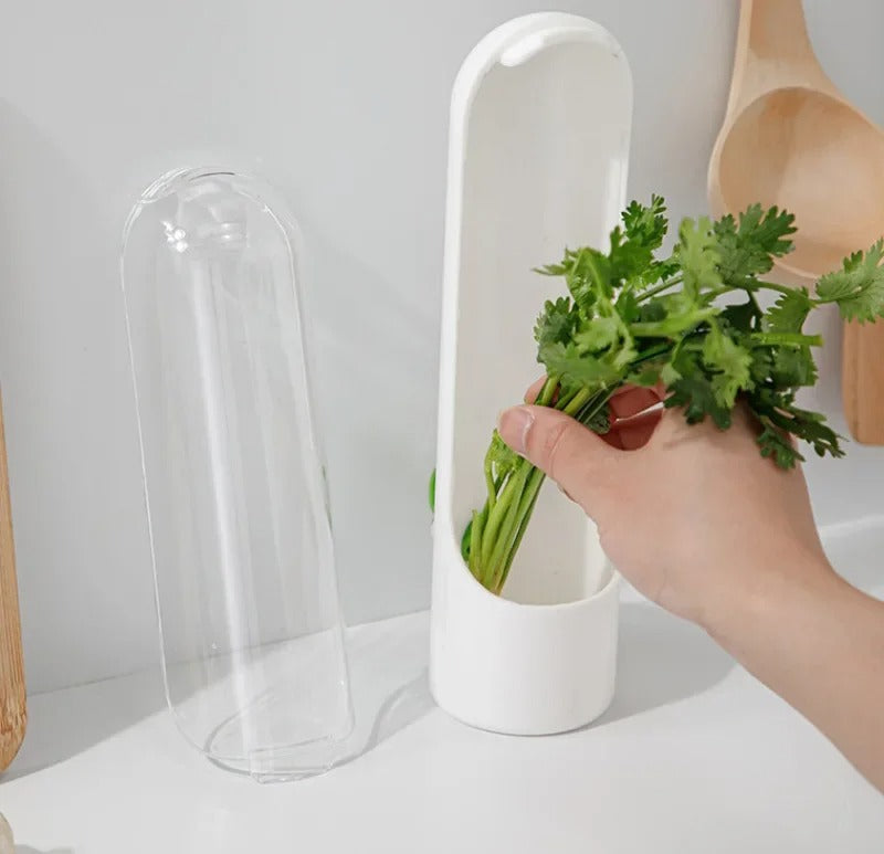 Fresh Vegetables Keeper for Refrigerator