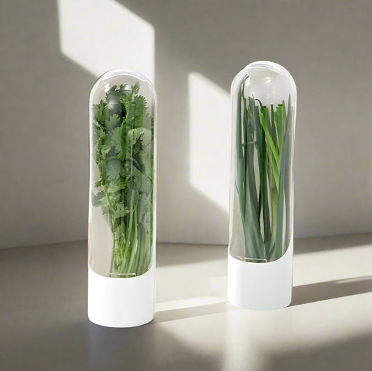 Fresh Vegetables Keeper for Refrigerator