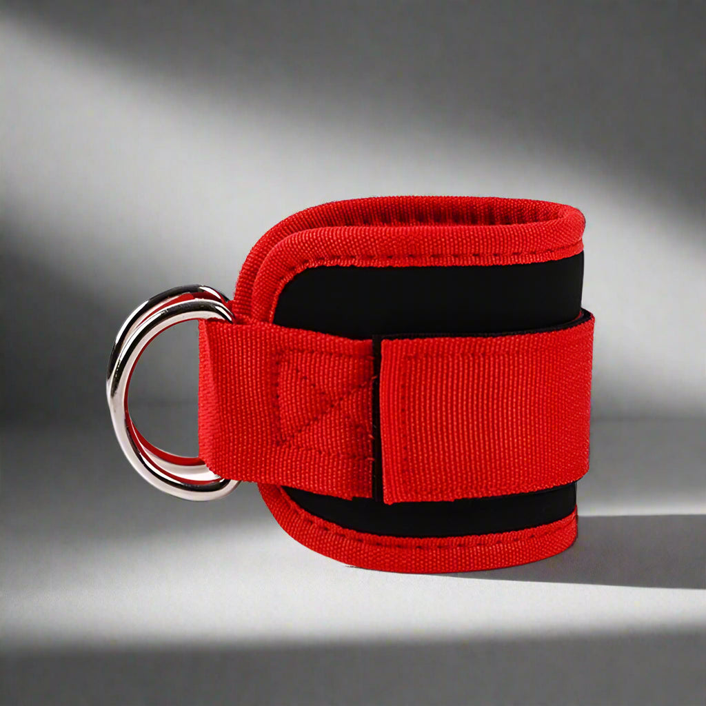 Double D-Ring Ankle Straps for Cable Machines
